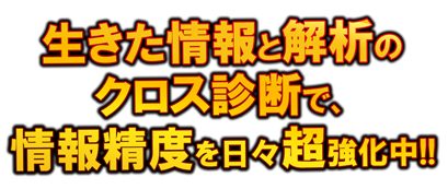 ボートキングダム_クロス診断